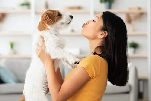 professional services for pet grooming sharjah